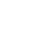 Vita integral